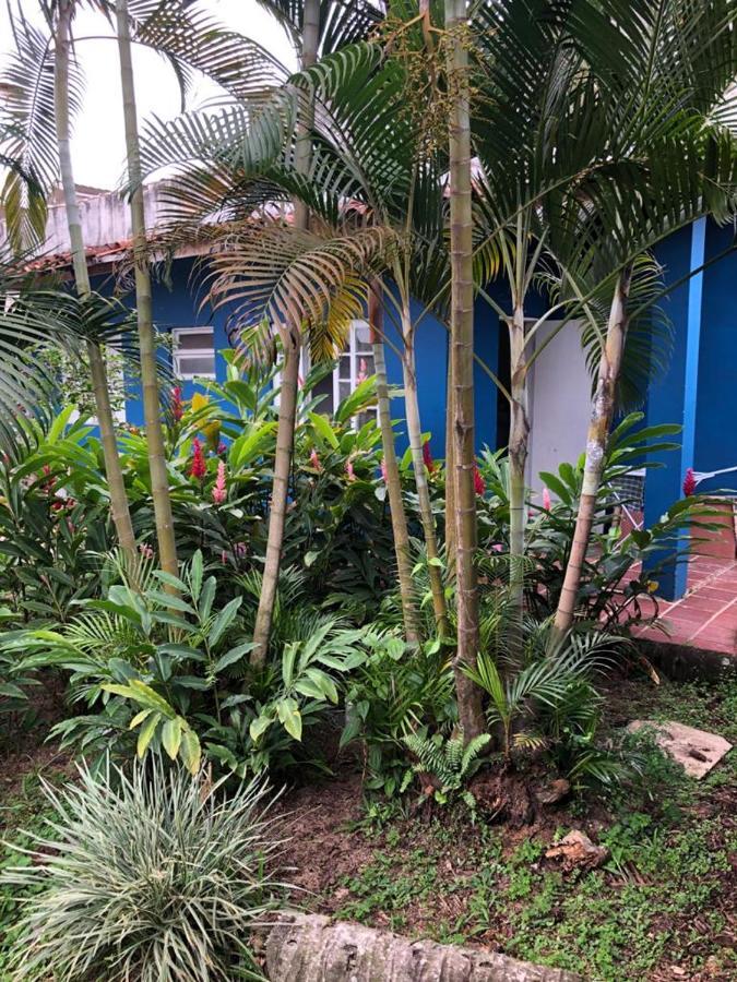 Hostel 4 Elementos - 200 Metros Da Praia De Pernambuco E Do Mar Casado Guarujá Buitenkant foto